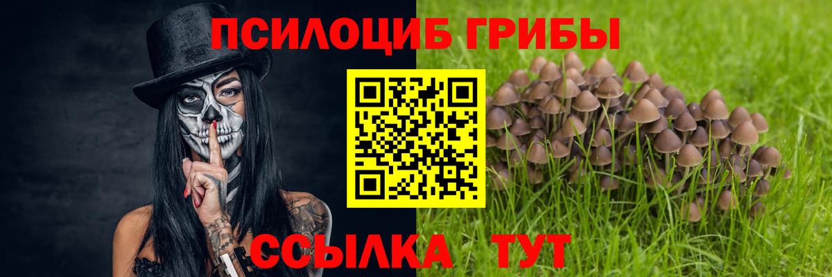 Галлюциногенные грибы Psilocybine cubensis  Вход с VPN  Галлюциногенные грибы MAGIC MUSHROOMS  магазин продажи   Костомукша 